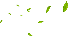 立足園區，綜合開發，智慧運營，助力雙碳